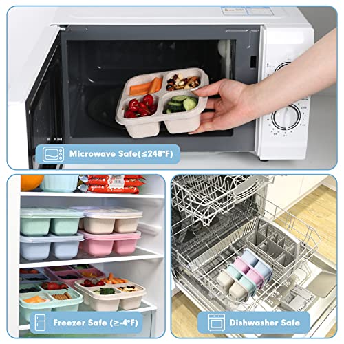 Puikus 4 Pack Snack Containers, 4 Compartments Bento Snack Box, Reusable Meal Prep Lunch Containers For Kids Adults, Divided Food Storage Containers For School Work Travel #TOP4