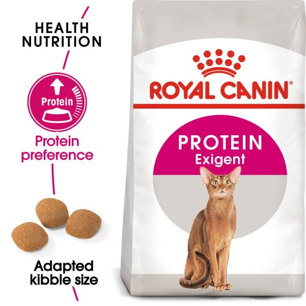 Amazon.co.jp: ロイヤルカナン FHN エクシジェント42 猫用 2kg
