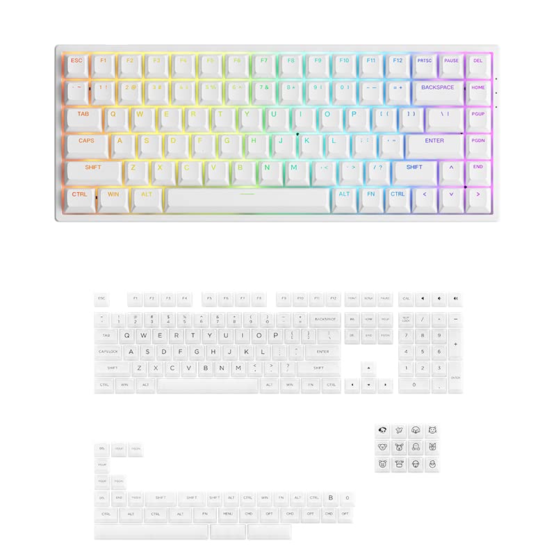 Buy Akko 3084S 75 84Key RGB Hotswappable Mechanical Gaming Keyboard