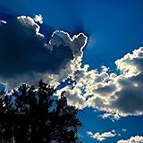  Seasons Pass [Explicit]