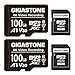 GIGASTONE Micro-SD-Karte, 100 GB, A1 V30, 4K-Videoaufnahme, kompatibel mit Überwachungskamera, Dashcam, Drohne, 100 MB/s MicroSDXC-Speicherkarte, UHS-I, mit Adapter, 2 Stück