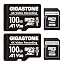 100GB Video Recording 2-pack