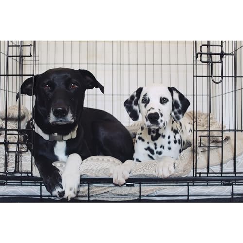 Caixa deslizante para cães Lucky Dog® Slyder™ Whisper Glide™ de 76 cm (S/M) | Acesso à porta lateral