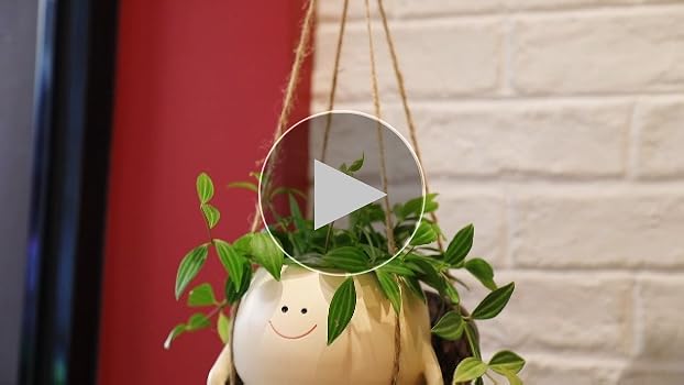 Amazon.com: NINIPAPA Hanging Swing Chair Planter Pot Smile