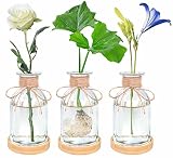 ARTORA Plant Propagation Station Desktop Glass Planter Terrarium with Wooden Tray Indoor Decorative