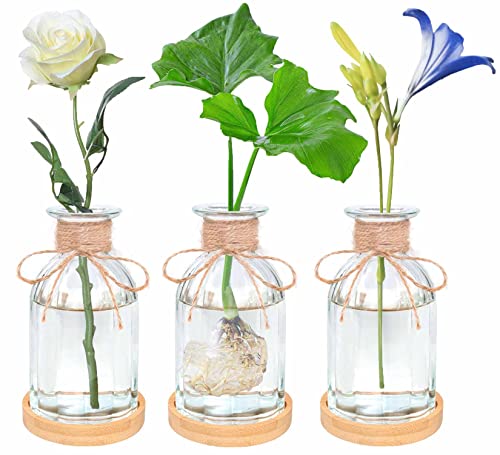 Artora Plant Propagation Station Desktop Glass Planter Terrarium With Wooden Tray Indoor Decorative Flower Vase Hydroponic Plant Jar Centerpiece Decor For Home Office Table (3Pcs) #TOP6