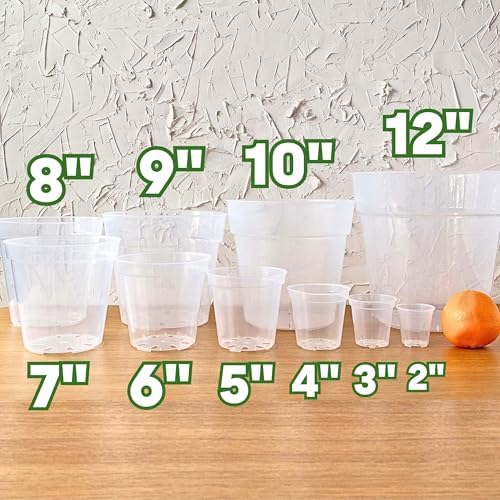 Clear Nursery Pots, 2 Inch Plant Pots with Drainage Holes | Sturdy and Transparent Plastic Flower Pots | Multipurpose Planters for Indoor and Outdoor Plants | Wavyleaf | 12 Pack — view 2