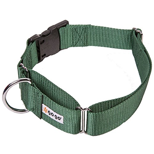GOGO Pet Products Martingale Gentle Training Collar, X-Large, Hunter Green