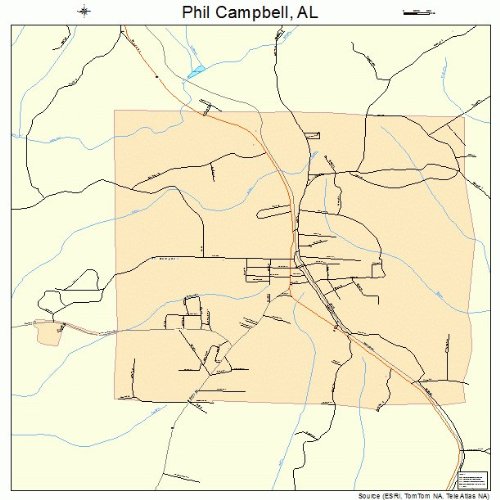 Large Street & Road Map of Phil Campbell, Alabama AL Printed poster