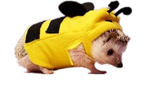 The Cozy Comfort of the HAICHEN TEC Hedgehog Hoodie Costume