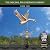 Good Directions Feathered Goose Weathervane, Pure Copper