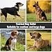 Ledeak Taktisches Hundehalsband mit Griff, Weich Gepolstert Verstellbares Hunde Halsband, Nylon Breit Trainings Halsband, Robuster Dog Collar mit Metallschnalle für Mittlere Große Hunde (Schwarz, L)