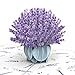 3D Pop-Up Karte 'Lavendel' – Violett, Mit Umschlag, Für Geburtstag & Dank