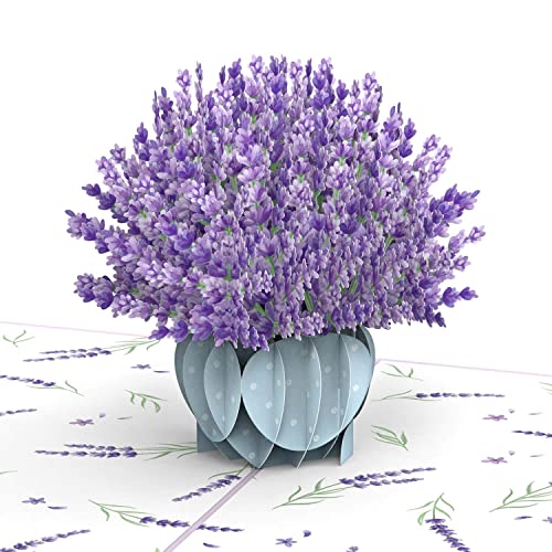 papercrush Pop-Up Karte Lavendel, 3D Blumenkarte für Frau, Mama & Tante