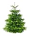 Echter Weihnachtsbaum - Nordmanntanne -frisch geschlagen 160-180 cm