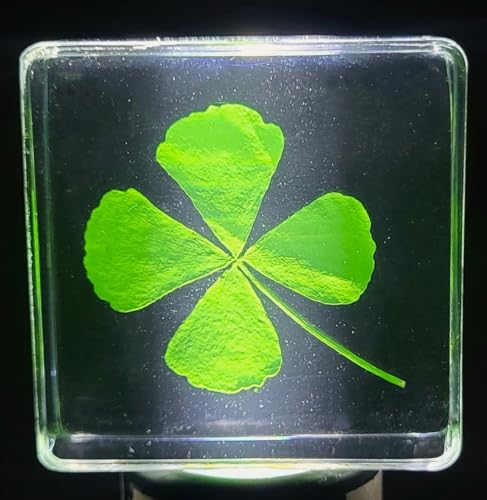 Image of 38mm Real Four Leaf Clover Shamrock in Crystal Clear Lucite Resin Specimen St.Patrick's Day inchLucky Leaf inch Gift Crafts Collection for Botany Science Education & Desk Ornament Display Small Paperweight