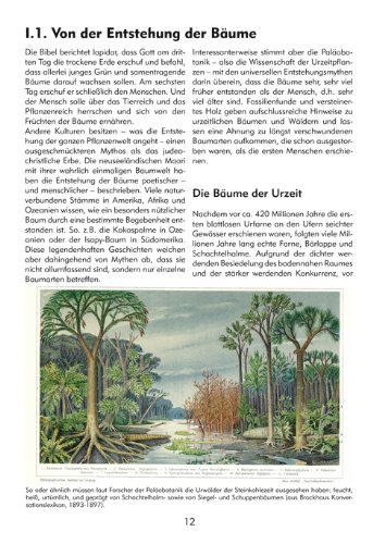 Bäume. Eine Reise durch Zeiten und Kulturen: Geschichte, Mythologie, Märchen, Brauchtum, Nutzen, Botanik