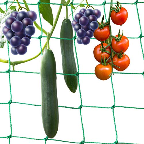 10 * 2M 36 Stränge Ranknetz kletterpflanzen Rankhilfe pflanzennetz Gurkennetz 10*10CM Maschen Polyethylen für Tomaten Kletterpflanzen Gewächshaus Anderen Gemüsepflanzen Rankhilfen für Kletterpflanzen