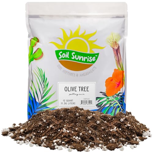 Soil Sunrise Olive Tree Potting Soil Mix (12 Quarts) for Planting, Repotting, and Growing Olive...