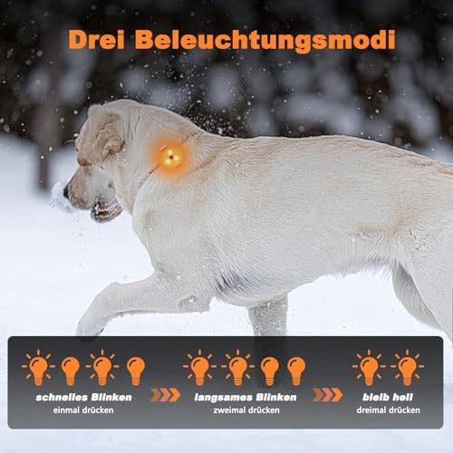 AHJ Hundelicht LED Blinklicht, USB-C, für Kinder & Jogger, Weiß-Orange