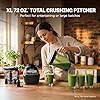 Ninja Kitchen System | 8-Cup Food Processor Bowl & 72 oz. Blender All-in-One | With (2) 16 oz. To-Go Cups | For Smoothies, Ice Crushing, Dough & More | 1500 Watt | Black | BL770