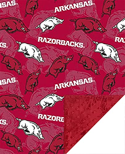Image of Future Tailgater Arkansas Razorback Licensed Minky Blanket Throw (42"" x 36"")"