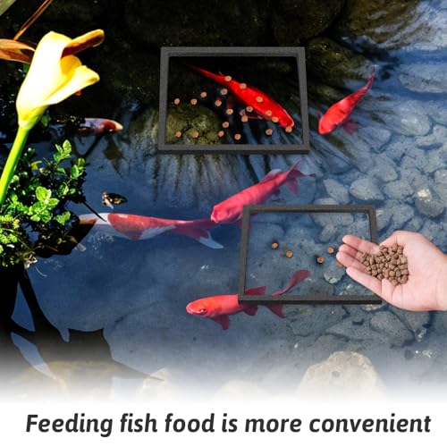 Image of Apausvcm 5 Pcs Fish Feeding Rings Set, Floating Aquarium Plant Corral 5 Sizes Square Fish Feeding Rings Fish Tank Aquarium Accessories for Bettas Goldfish Turtle (Black)