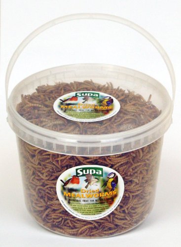 Supa Dried Mealworms - Wild Bird Food / Treat 3Ltr