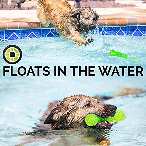 Hyper Pet Dura-Squeaks Stick Dog Toy, Medium #TOP2