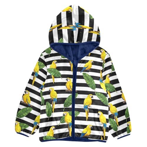 Yellow Parrots Stripes Toddler Boy Winter Jacket Comfy Winter Jacket for Boy 3T