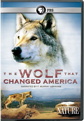 Amazon Com Nature The Wolf That Changed America 2016 N A N A Movies Tv