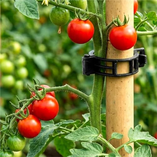 Clips para plantas de jardín para soporte de tomate, 150/300 piezas, ideal para crecimiento vertical, soportes duraderos y versátiles para vides de jardín