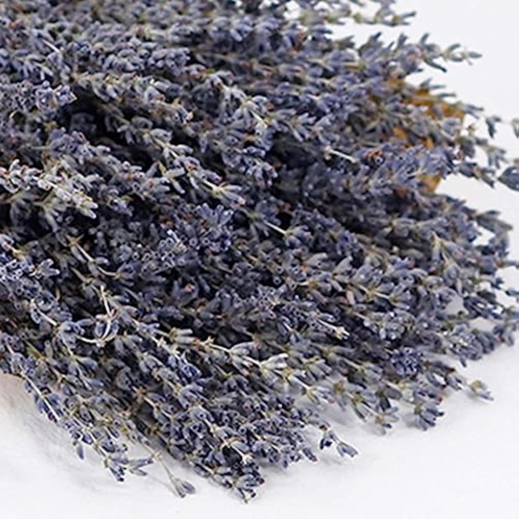 Dried Lavender Flower Bunches for DIY Crafts