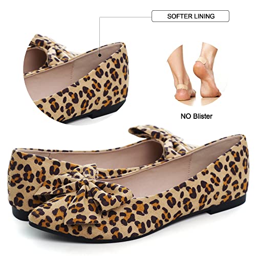 Image of Dear Time Women's Ballet Flats Dress Ballet Shoes Slip on for Office Work Comfortable Shoes