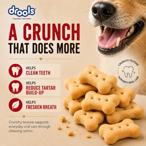 Image of Drools All Life Stages Dog Treat Biscuits 800g Jar | Real Chicken Flavour | All Breed Formula | Promotes Lustrous Skin & Coat | Vitamins & Minerals | Reduces Tartar Build Up