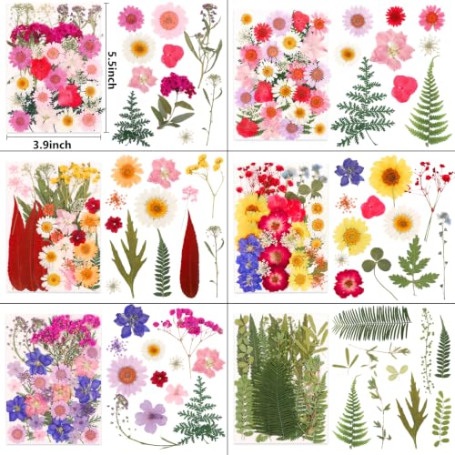 Image of NESCCI 210 Pcs Dried Pressed Flowers for Resin,Real Nature Dried Flowers for Crafts Bulk Dry Flowers Leaves Kit Used for Resin Molds Scrapbooking DIY Art Crafts Candle Soap Making Nails Decor