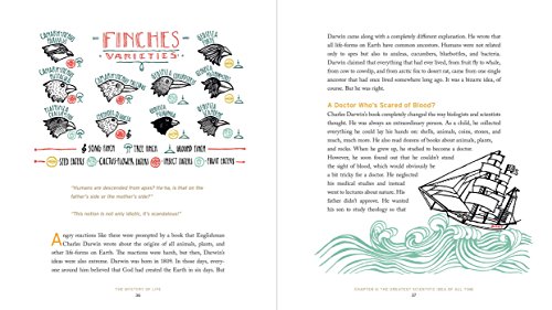 The Mystery of Life: How Nothing Became Everything - Image 3