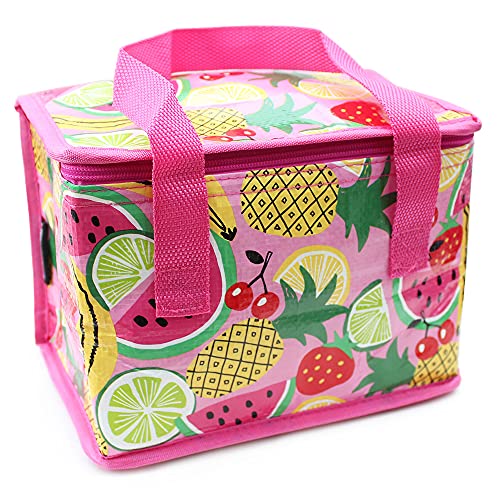Fashion Stationery Insulated Lunch Bag Kids Lunch Box Folding Reusable Lunchbags for Girls or Boys Lunch Box for School, Beach or Travel Small Cooler...