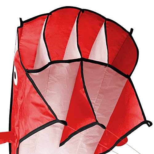 Image 3D Kite Large Red Dolphin Breeze Beach Kites With Huge Frameless Soft Parafoil Giant,Gift For Kids,Family #TOP5