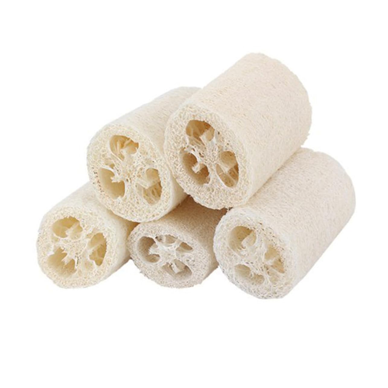 minkissy 10 Piezas Esponja De Esponja De Esponja De Natural Esponja De Esponja Natural Esponja De Depuradora De Espalda Esponja De Depuradora white