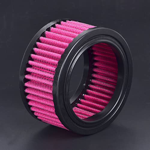 Sresk Air Cleaner Intake Filter System Kit Replacement For Harley Sportster Xl883 Xl883N Xl883R Xl883P Xl1200 Xl1200L Xl1200X Iron 883 Forty Eight Xl1200X 2004-2016 (Air Filter Replacement) #TOP7