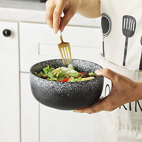 Junecat 36 Ounce Ceramic Soup Bowls Set Of 4,Cereal Bowls Noodle Bowls Ramen Bowl Housewarming Gifts For New House,6.5'' Salad Bowls For Soup, Dessert, Fruits, Salad, Noodle, Ramen #TOP3