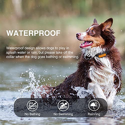 Citronella Dog Collar, Auto Spray Citronella Bark Bollar With 3 Spray Level, Citronella Collar Rechargeable No Electric Shock Anti Barking Device Dogs #TOP6