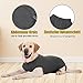 Axcimond Hundebody Nach Op Leckschutz Op Body Hund Kastration Hündin Rüde Medical Pet Shirt Hund Einteiler Wundschutzanzüge für Hunde Mit Klettverschluss Alternativen zu Kegel und Halskrause Grau M