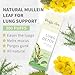 PUFFIAIR Herbal Diffuser Infused with Mullein, Thyme, and Mint for Breathing Support, Lung Care, Fresh Oral Air, and Habit Management - 300 Uses, 2 Packs 3 Sticks