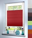 Mass-Gardinen-Shop Plissee Faltrollo Rollo Jalousie Faltstore Sichtschutz Klemmfix ohne Bohren mit Klemmträger (65cm Breite x 130cm Höhe, Bordeaux Rot)
