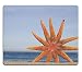 Produktbild Mauspad Naturkautschuk-Mausunterlage 3 orange Starfish auf sandigem Strand mit Hintergrund des Blauen Himmels