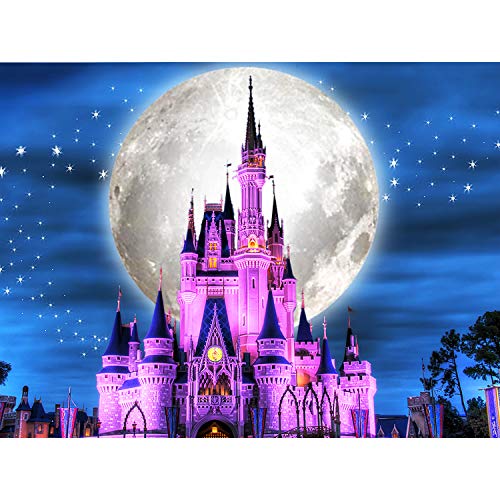 DIY 5D Diamond Painting Art Kits for Adults Kids Beginner, Full Drill Crystal Rhinestone Embroidery Paint with Diamonds Pictures Craft for Indoor Home Wall Decor Gift (castle15.7x11.8Inch)