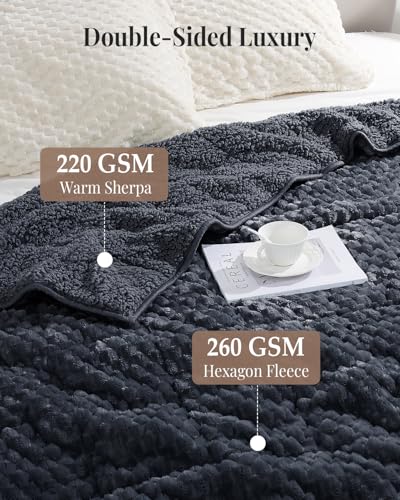 Image of Topblan Weighted Blanket for Adults, 60 inch x 80 inch 15lbs, Soft Sherpa Queen Size Heavy Blanket with 3D Jacquard Turtle Shell Flannel Fleece for Couch and Bed