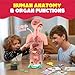 Smartivity Human Body Model for Kids 6 to 12 Years | Learn Body Organs, Functions with Fun Card Games | Christmas, Birthday Gift for Boys & Girls | DIY STEM Science Toys for Kids 6, 8, 10, 12 Years